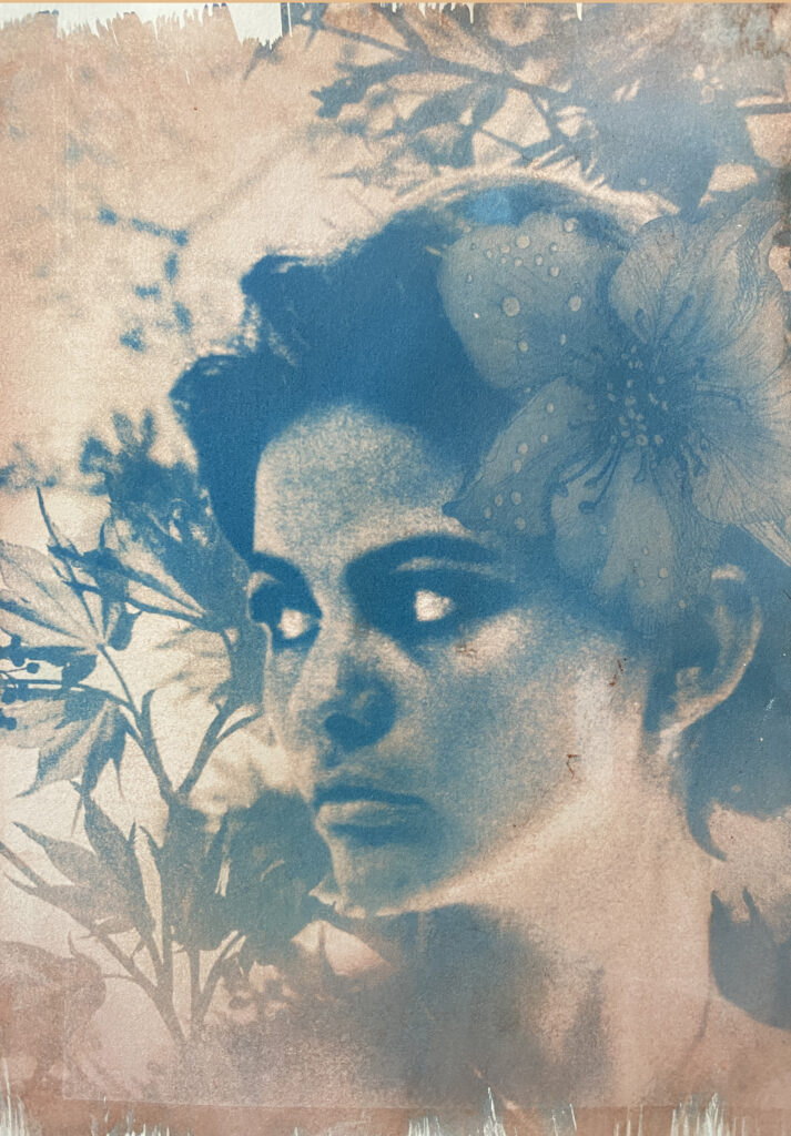CYANOTYPE-nsoblue-copyright
